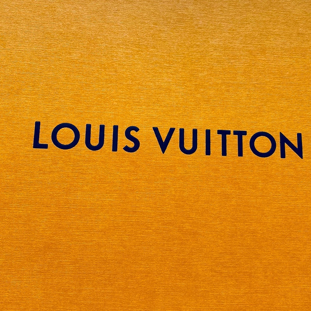 Louis VuittonThe Silhouette ankle boot